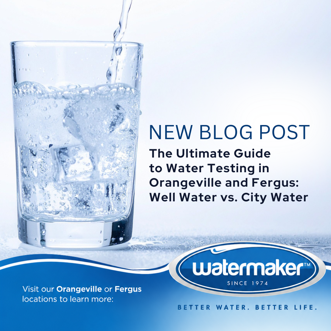 Water Testing Guide